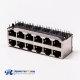 12 Port RJ45 Connector 2*6 Female Double Row R/A with Shield Without LED for PCB